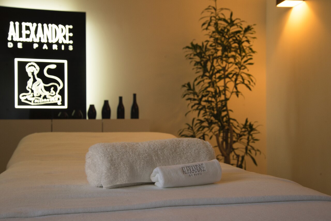 イデア(IDEA)の紹介画像