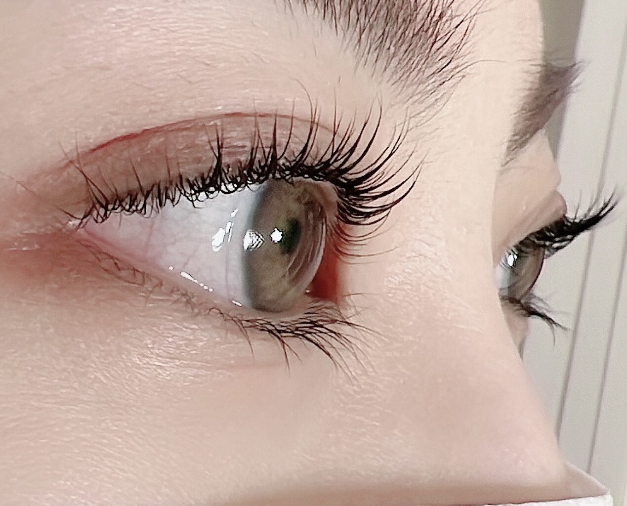 ふるーるの紹介画像