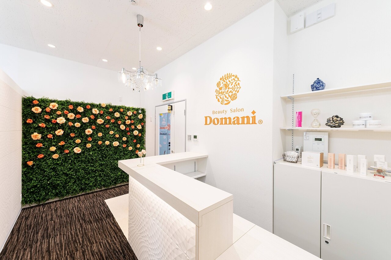 ドマーニ 三河安城店(Domani)の紹介画像