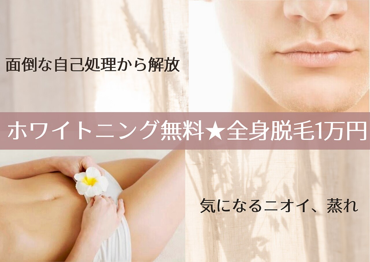 クレーン(Crane)の紹介画像