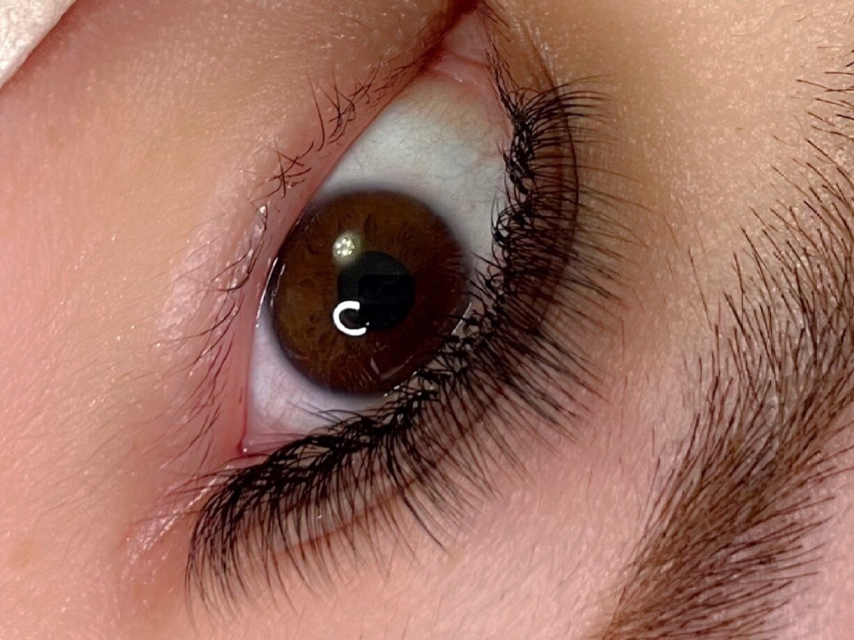 ポミエ(pommier)の紹介画像