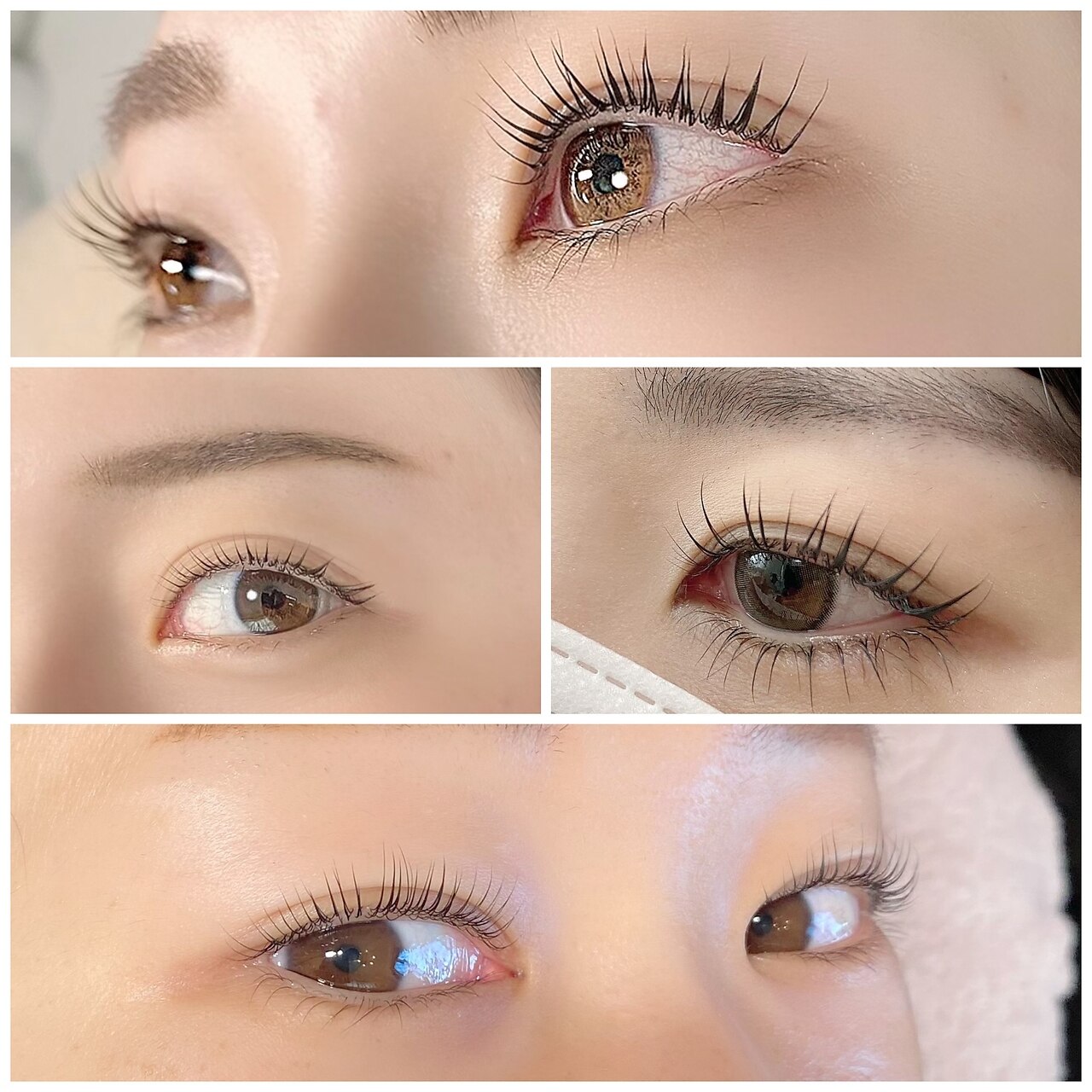 モラン(Moran)の紹介画像