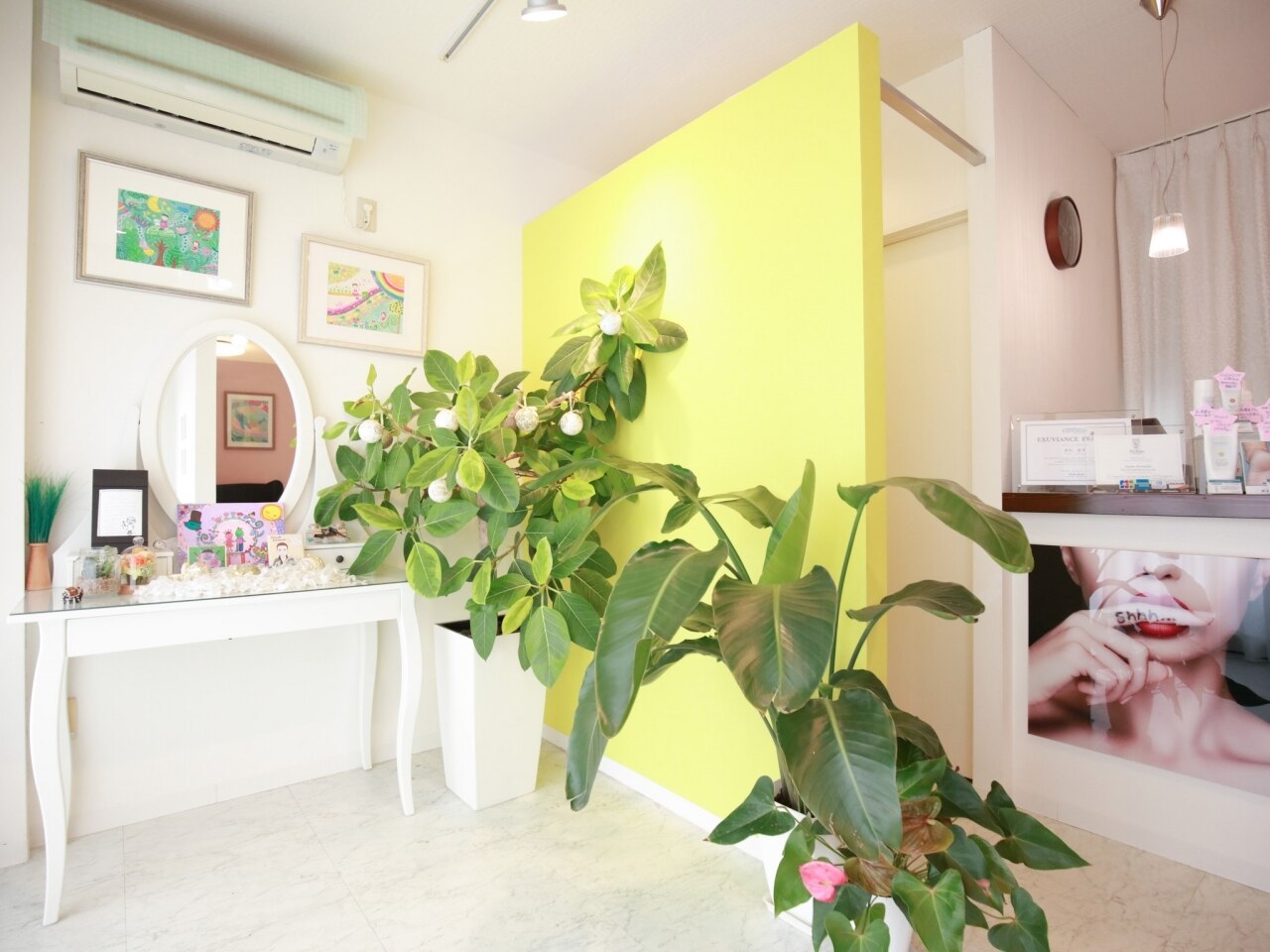 セレボーテの紹介画像