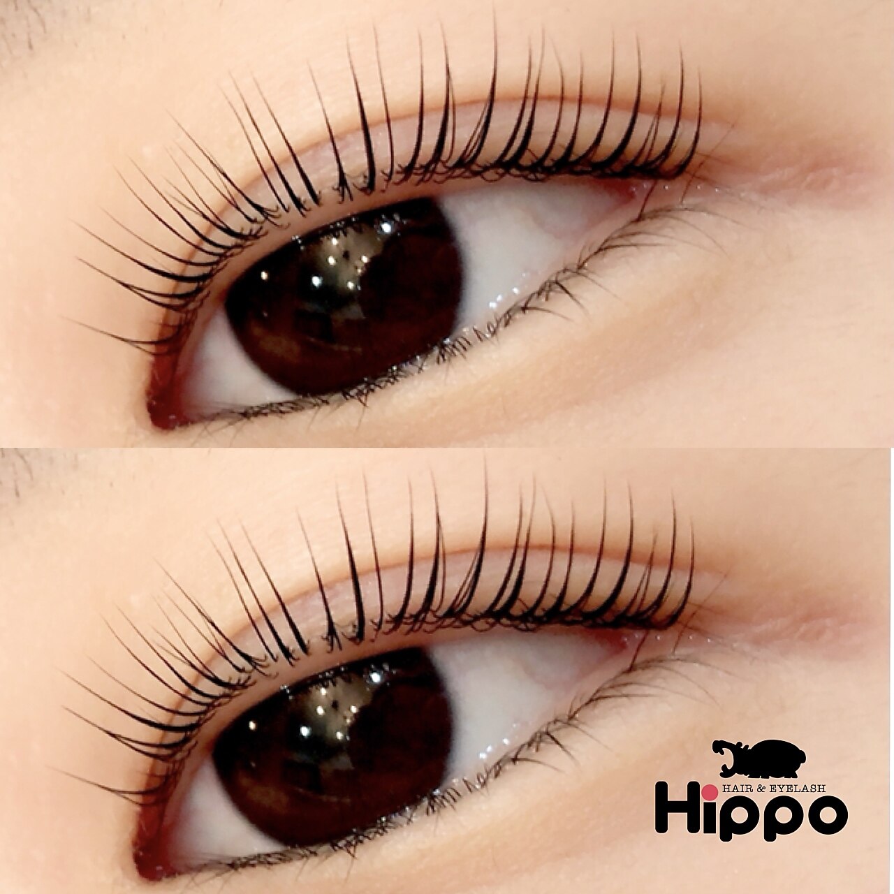 ヒッポ(Hippo)の紹介画像