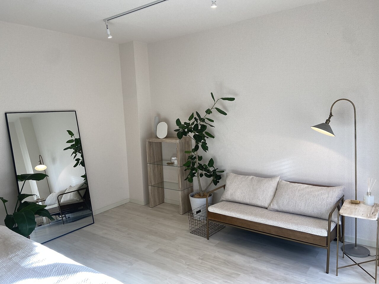 ラズ(Luz)の紹介画像