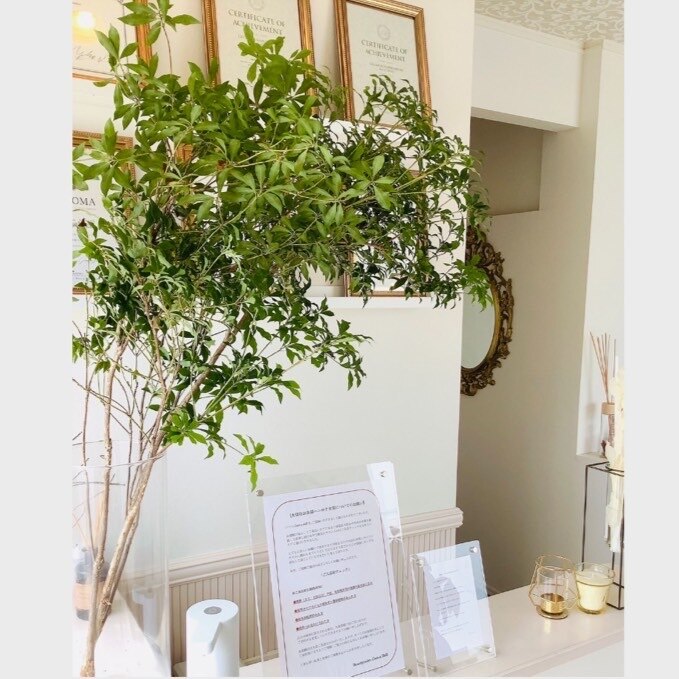 メンズ脱毛サロン Mr.Smooth 【ミスタースムース】の紹介画像