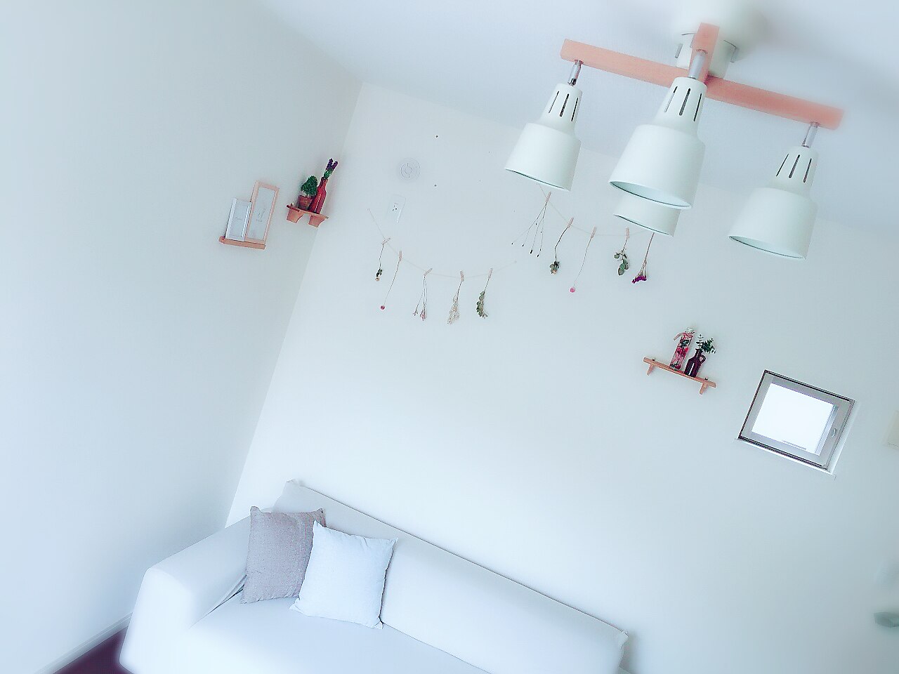 ランタナ(Lantana)の紹介画像