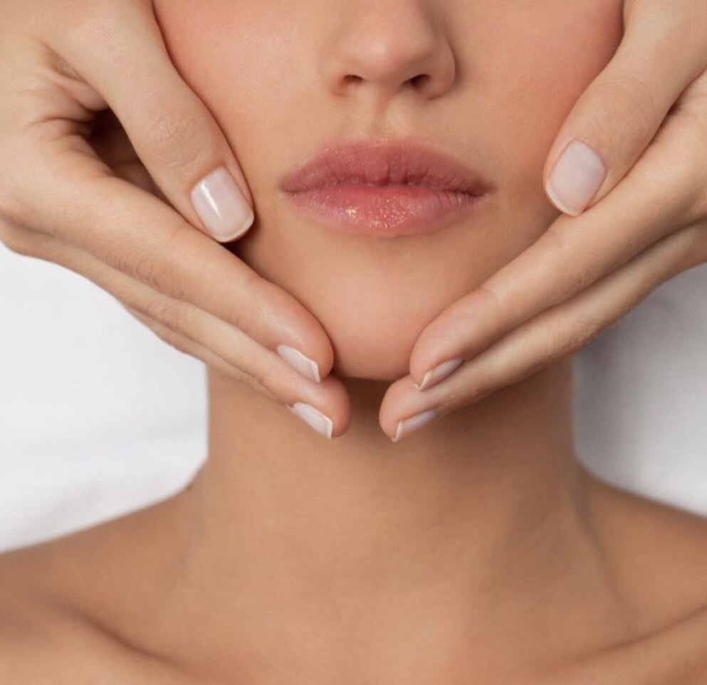 スエヒロ(SUEHIRO)の紹介画像