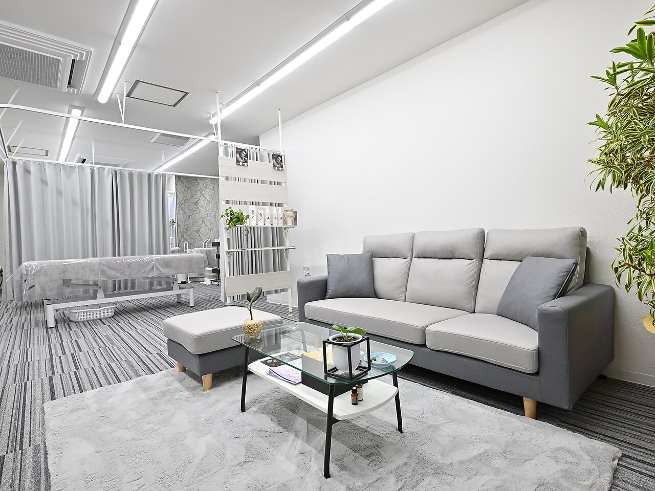 ケイエイト(K.8)の紹介画像