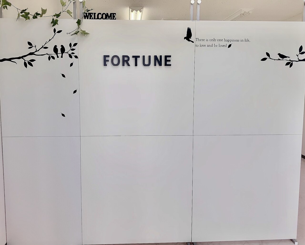 フォーチュン(fortune)の紹介画像