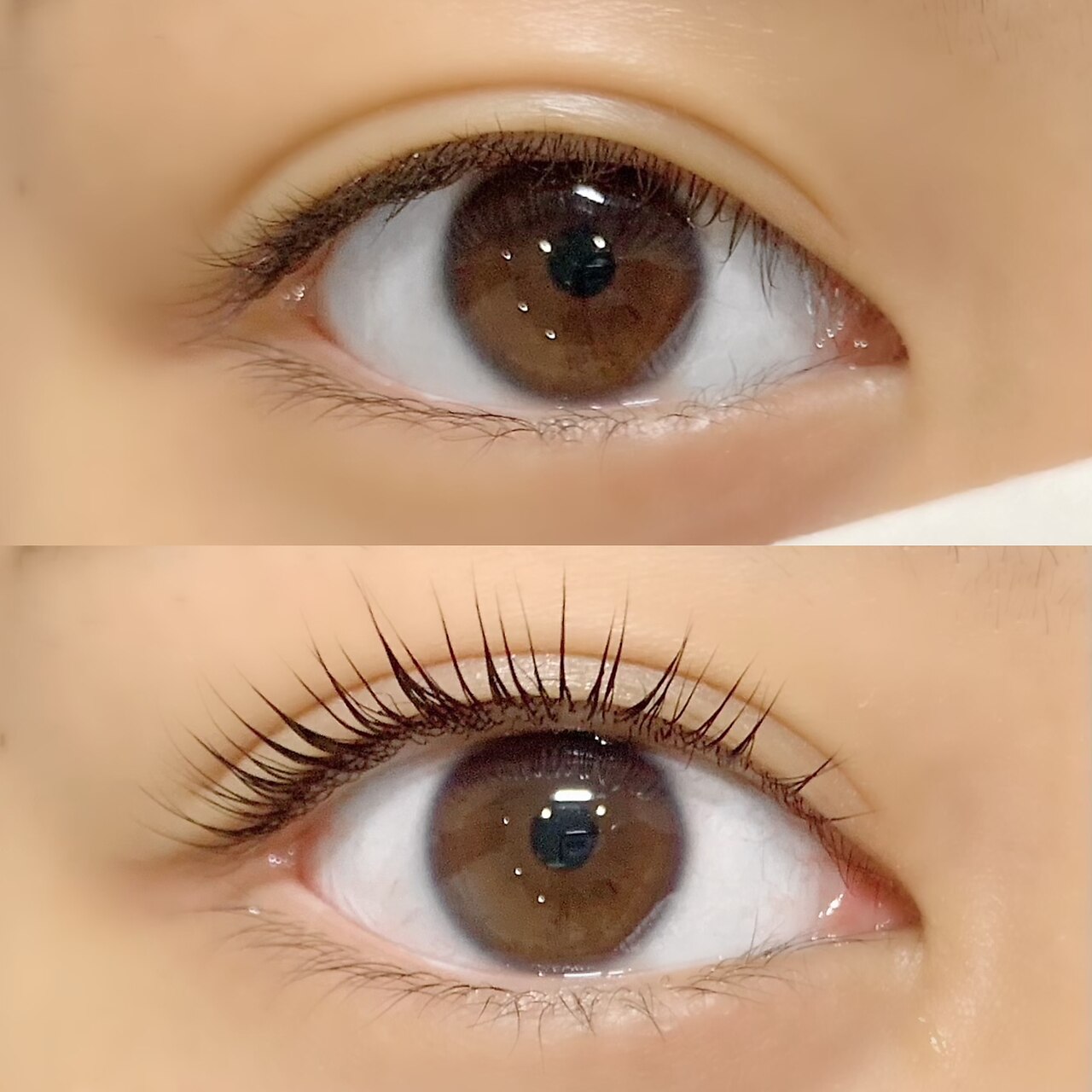 オヤユビヒメ(OYAYUBIHIME)の紹介画像