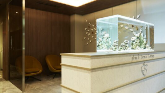 プラスイーデンタルラウンジ(plus E Dental Lounge)の紹介画像