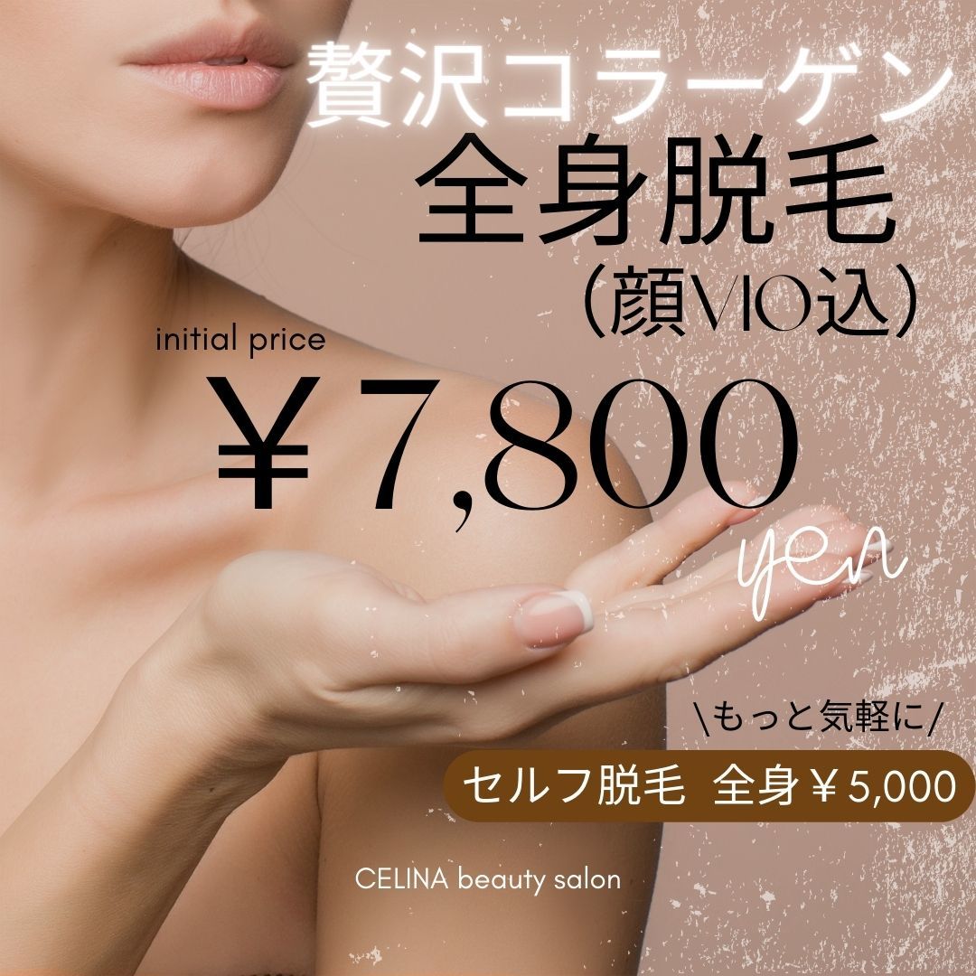 セリーナ 八尾店(CELINA)の紹介画像