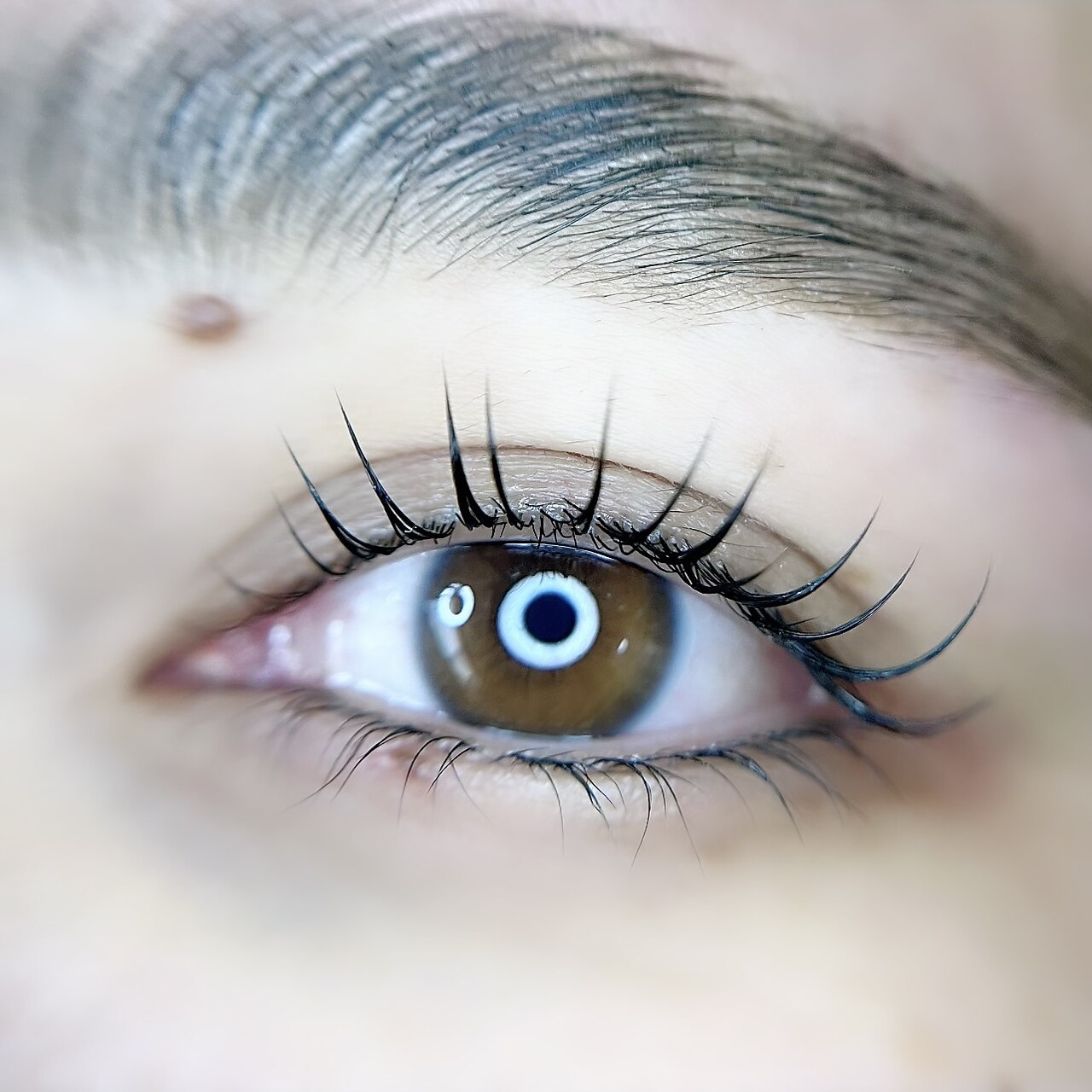 ビーコネクシヨン(美 connection)の紹介画像