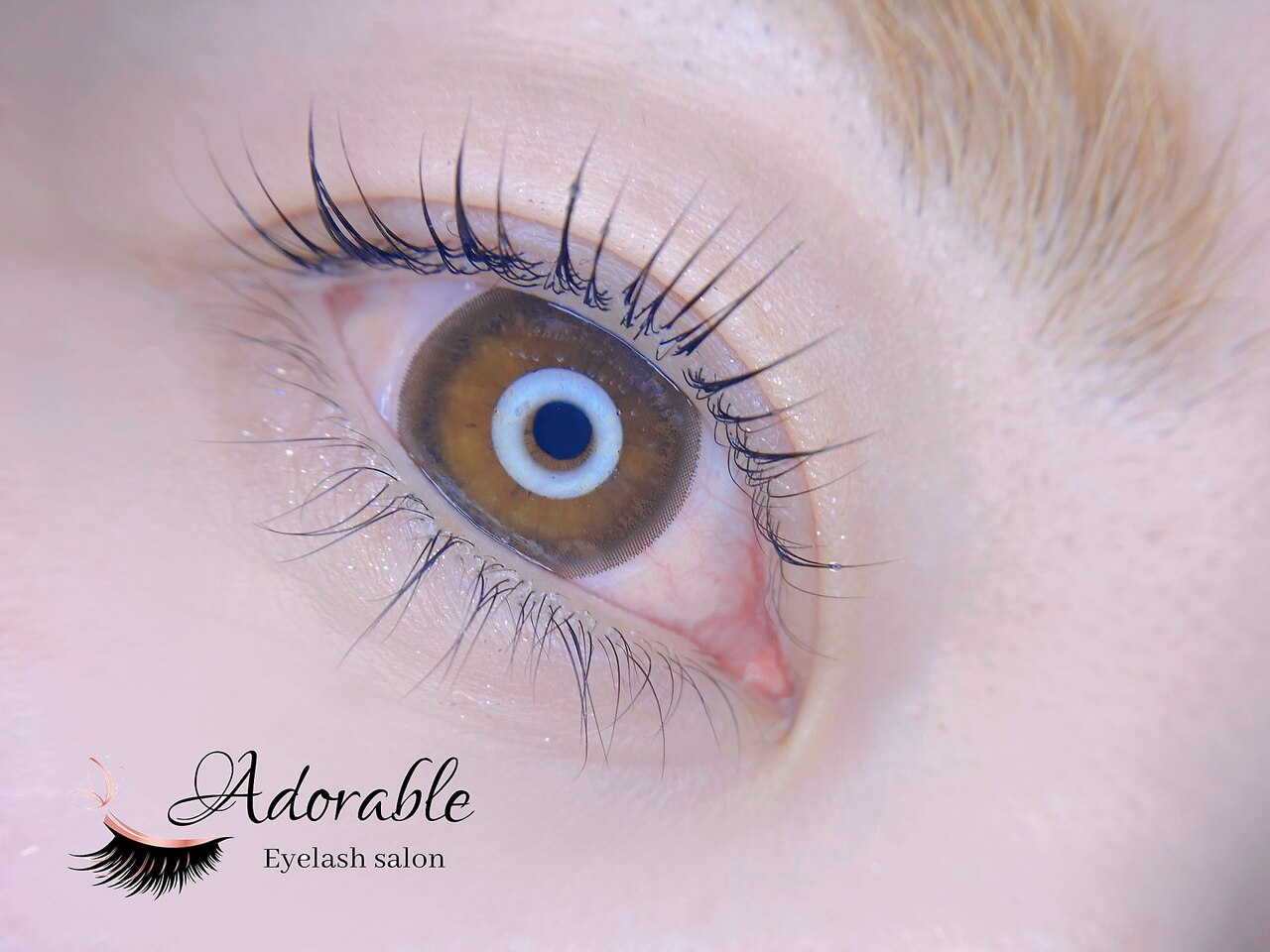 アドラブル(Adorable)の紹介画像