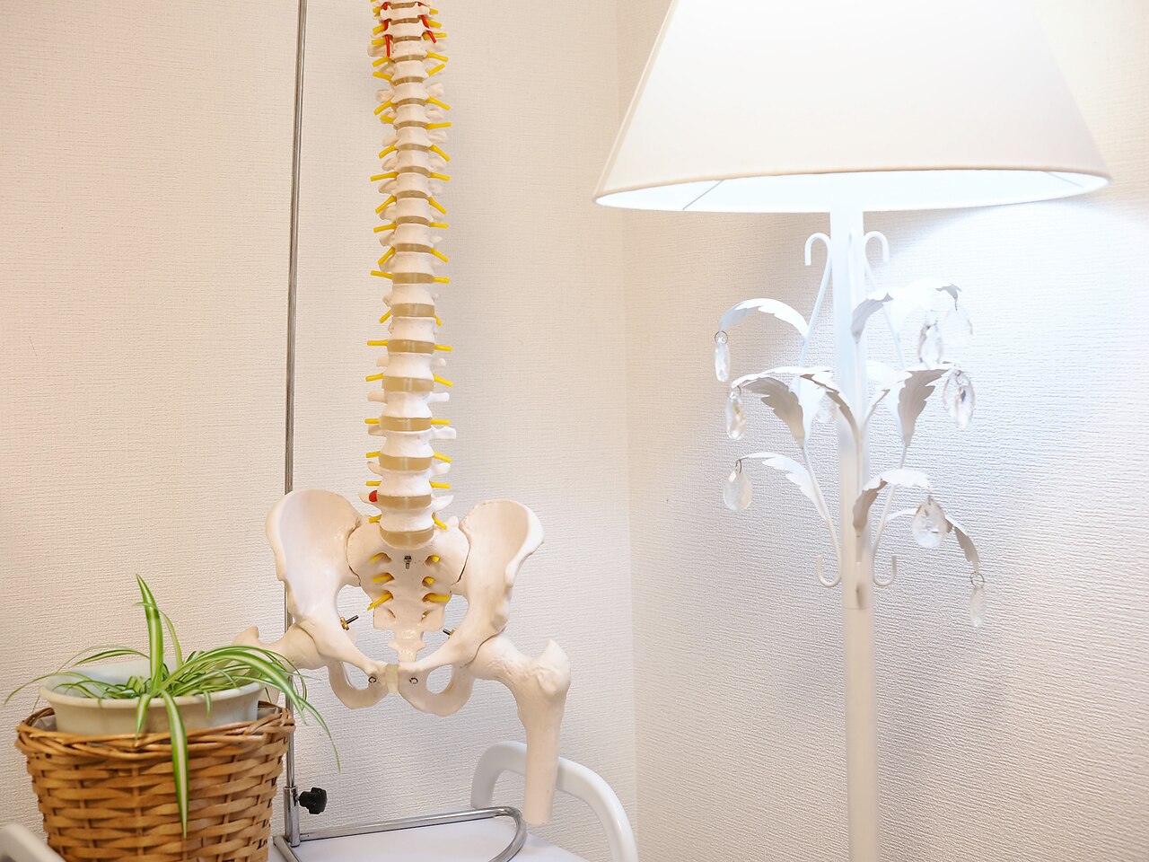 メンズ脱毛サロン Mr.Smooth 【ミスタースムース】の紹介画像