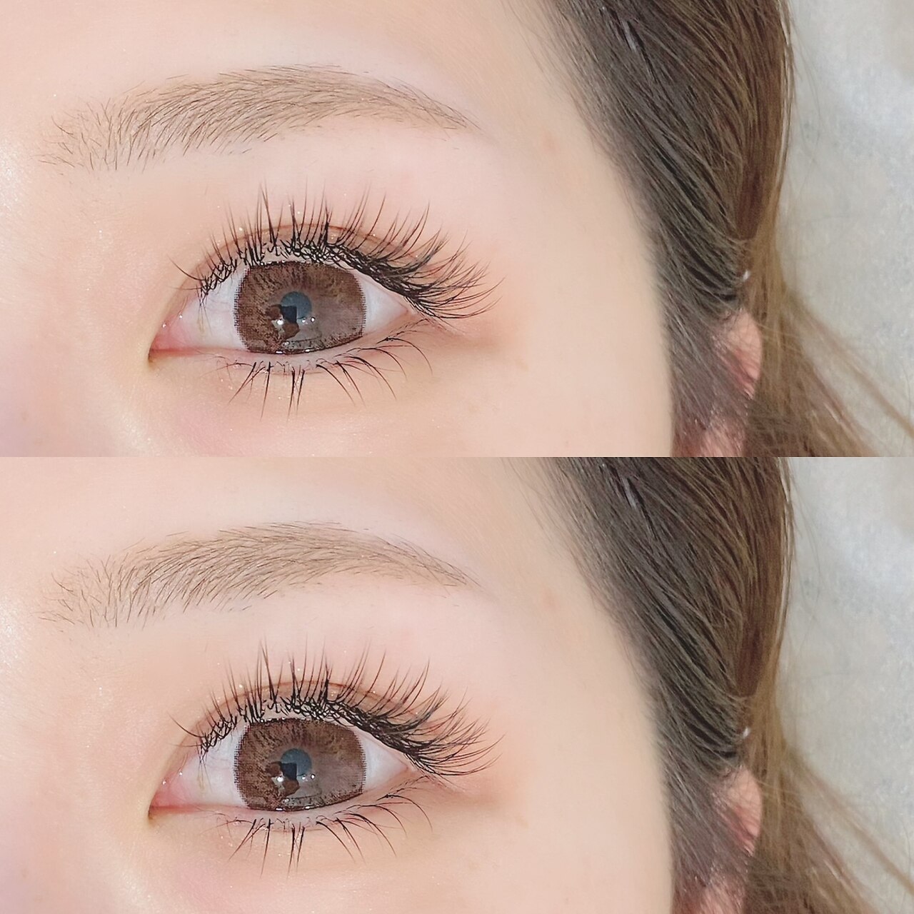 アグライア(Aglaia)の紹介画像