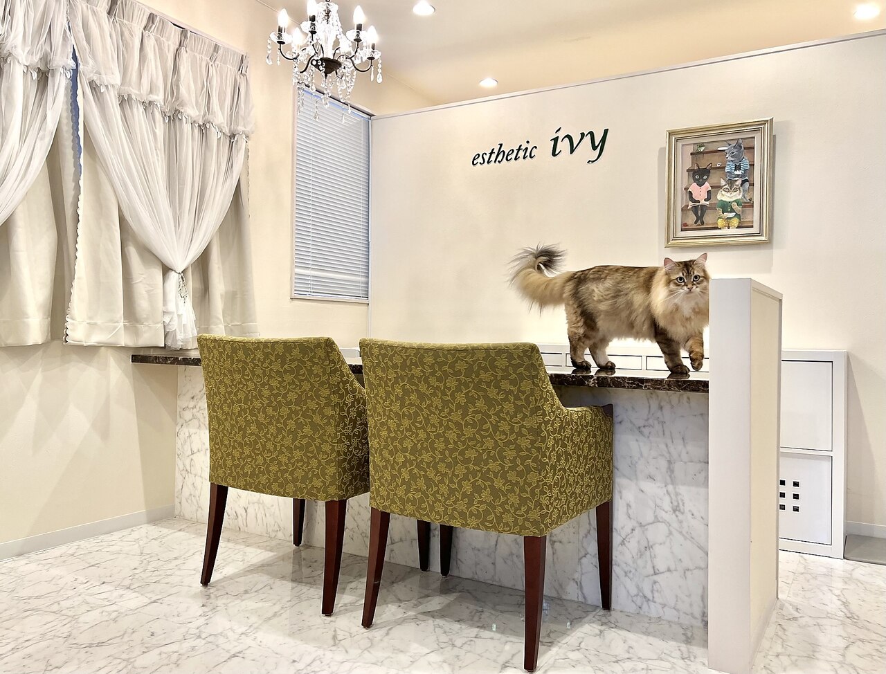 エステティック アイビー(ivy)の紹介画像