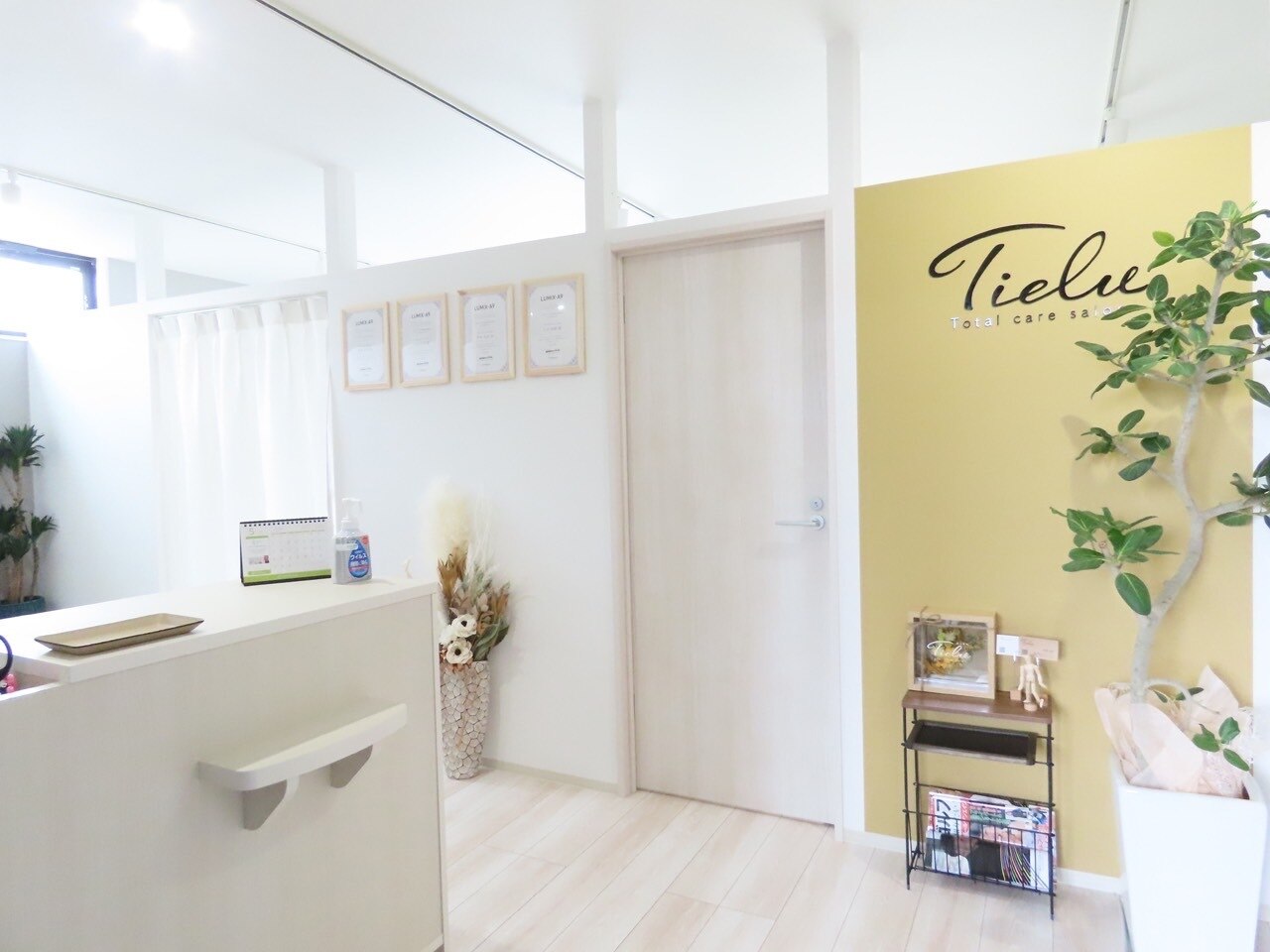 ティエル(Tielu)の紹介画像