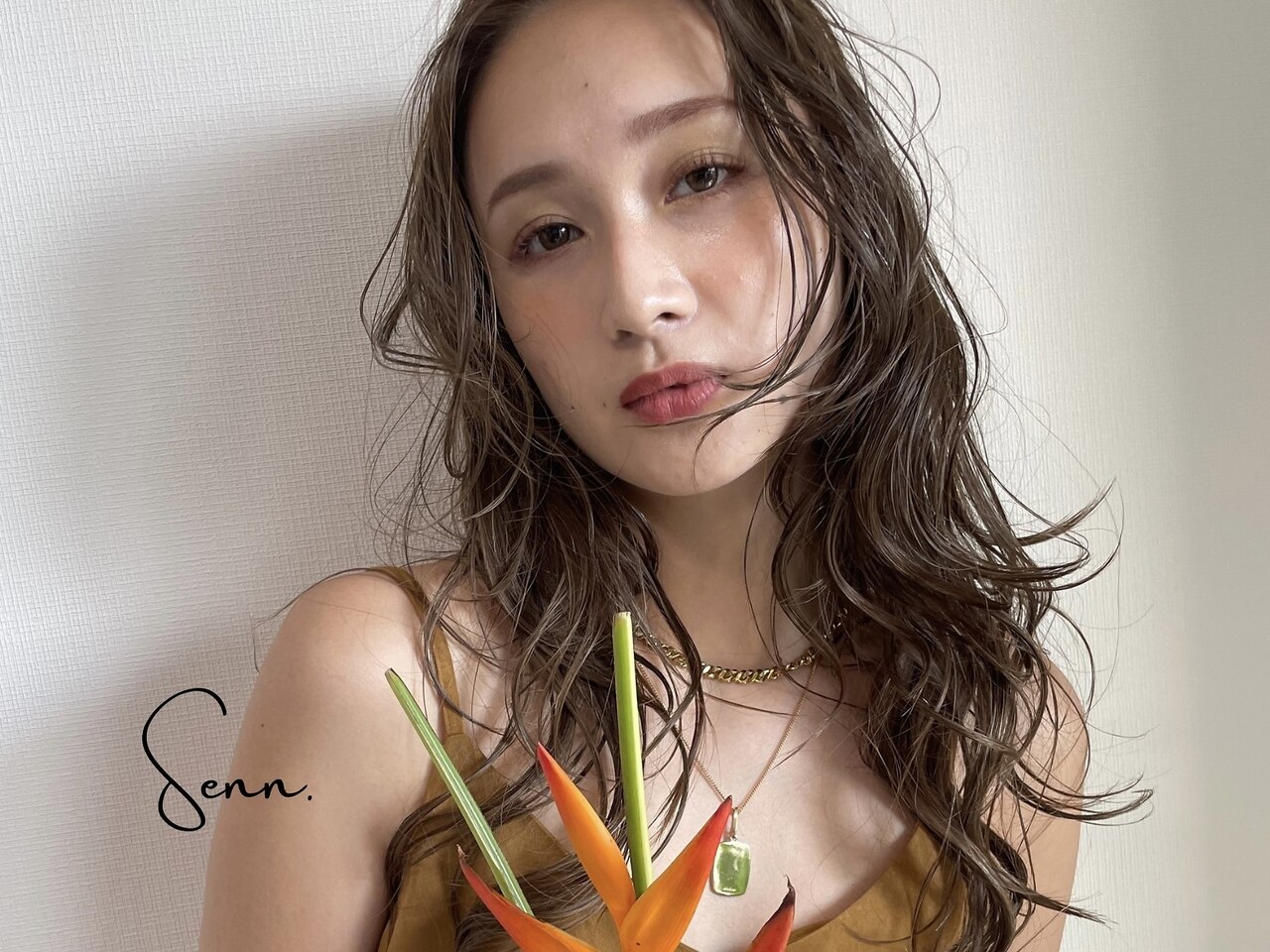 セン(Senn.)の紹介画像