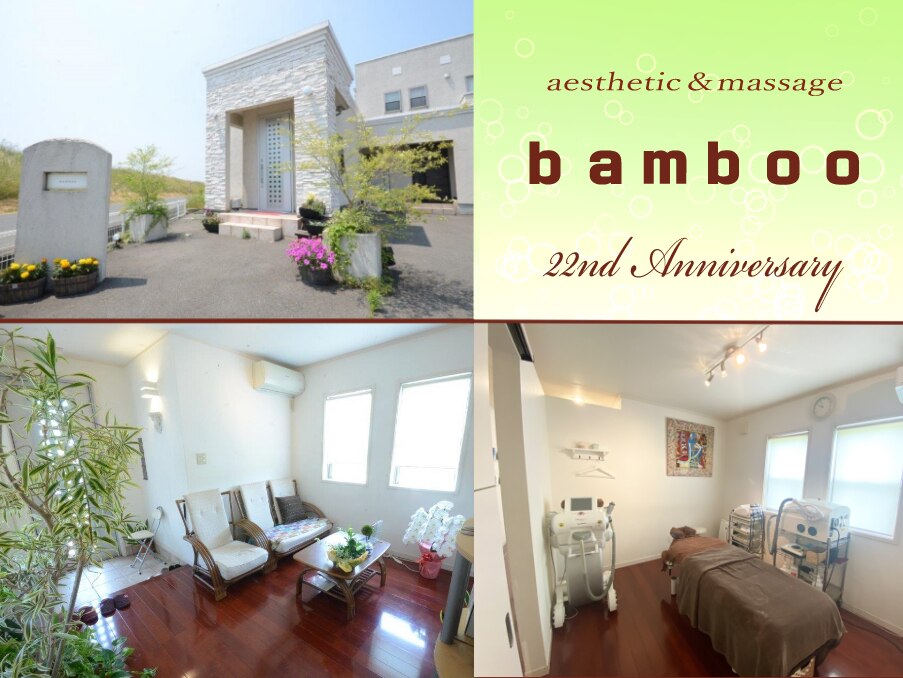 バンブー(bamboo)の紹介画像