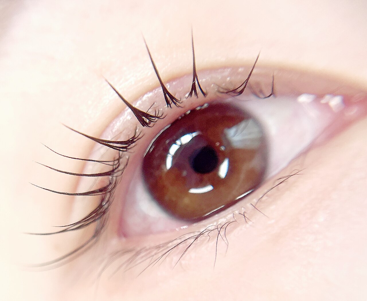 メンズ脱毛サロン Mr.Smooth 【ミスタースムース】の紹介画像