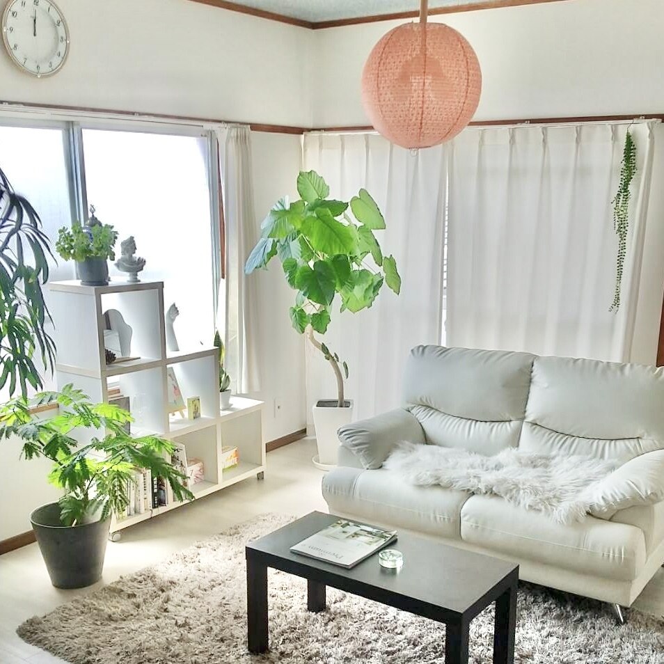 メンズ脱毛サロン Mr.Smooth 【ミスタースムース】の紹介画像