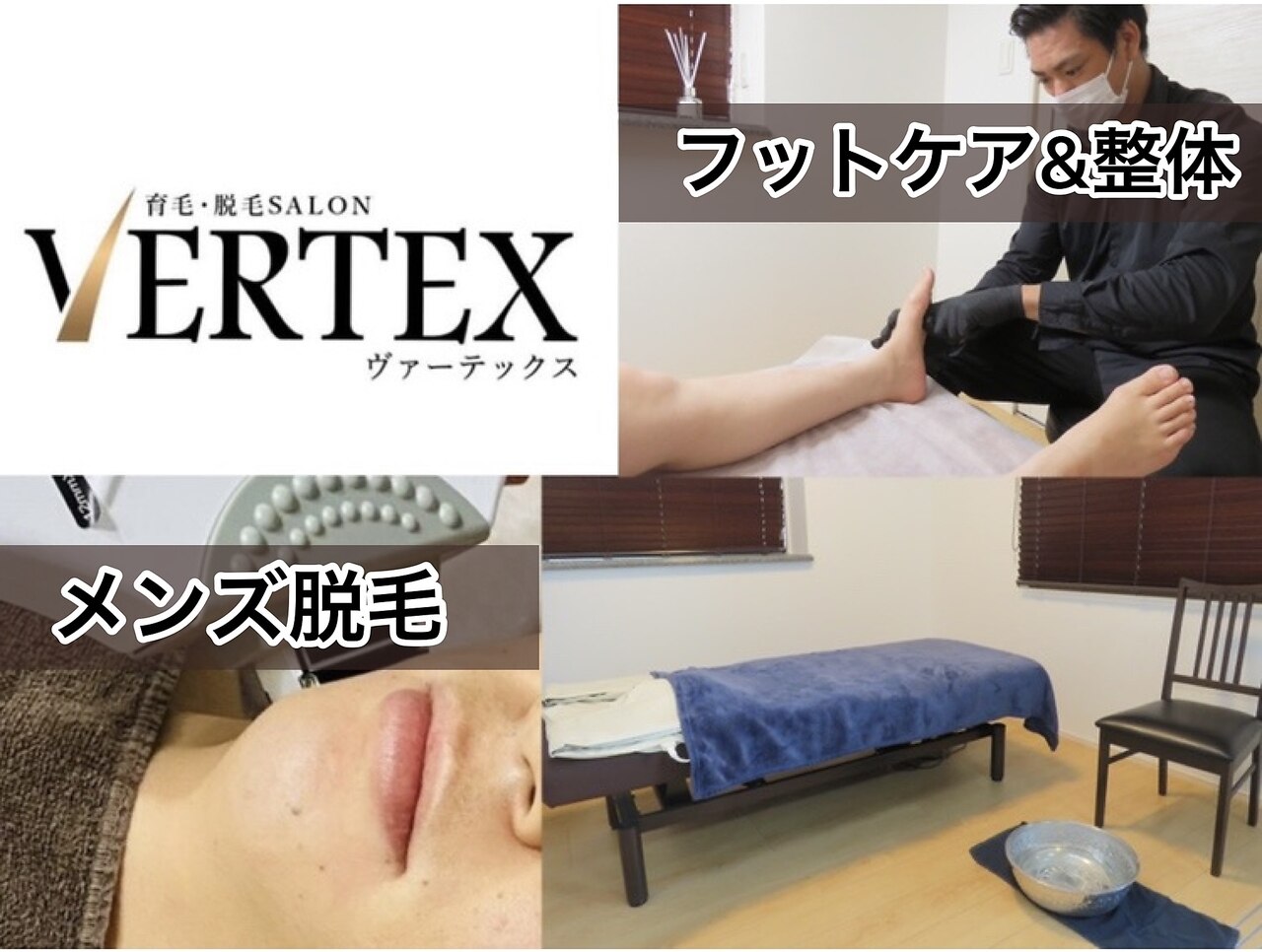 ヴァーテックス(VERTEX)の紹介画像