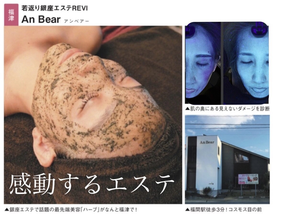 アンベアー(An Bear)の紹介画像