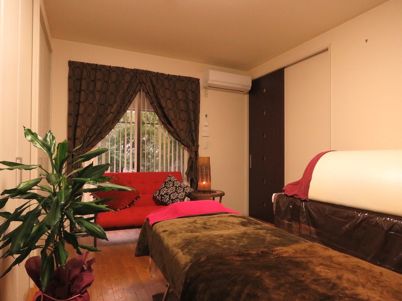 杏樹の紹介画像