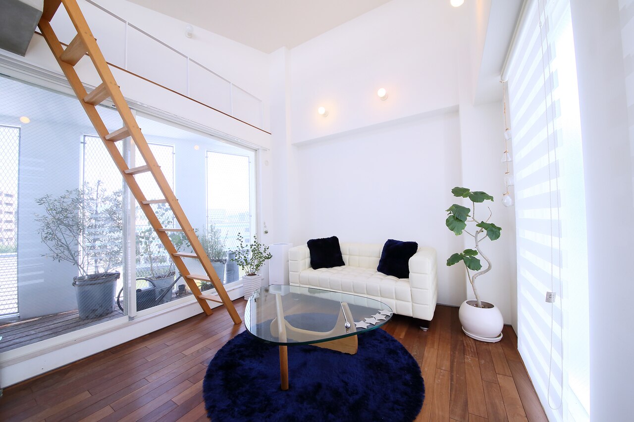 ケイステラ(K.STELLA)の紹介画像