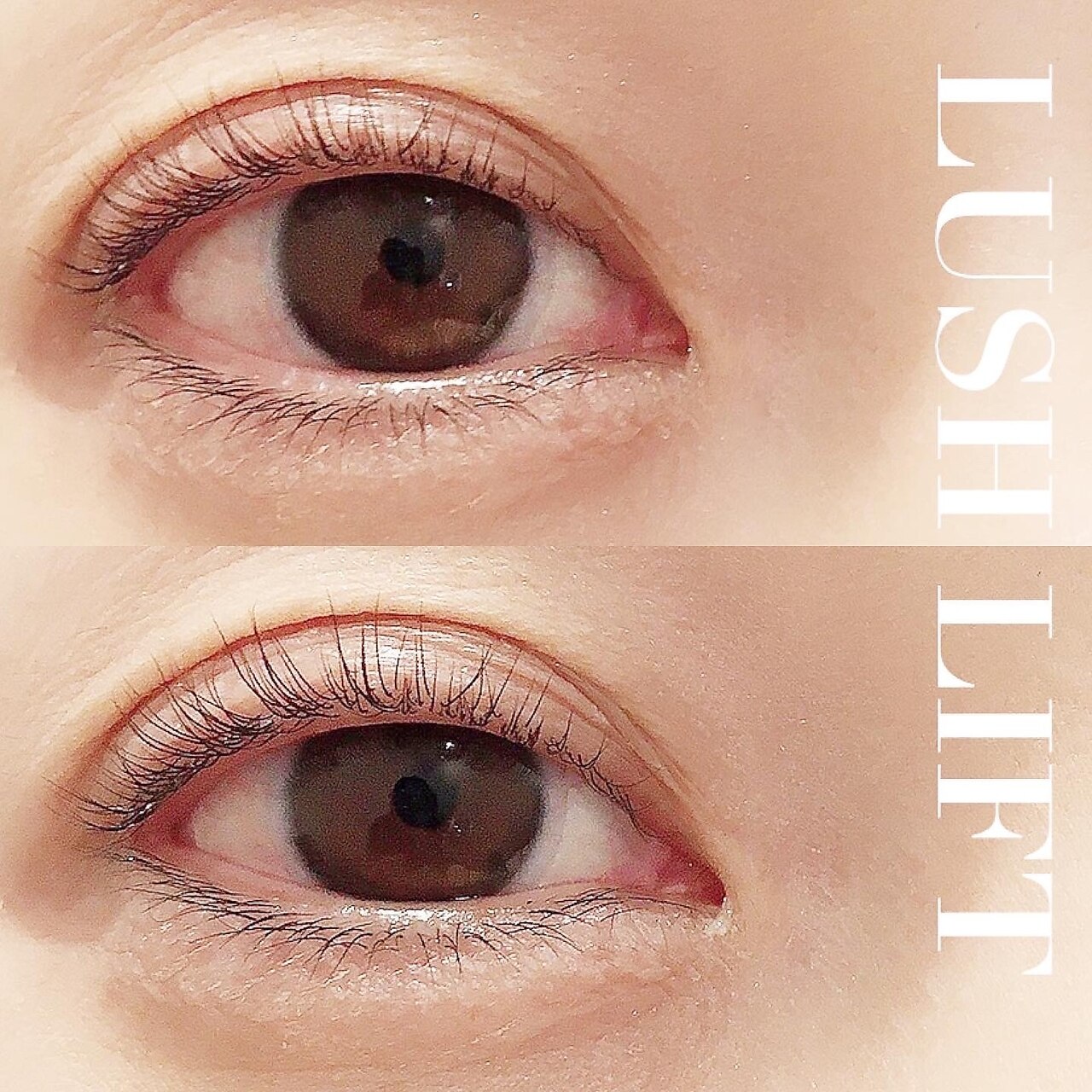 オズ(OZ)の紹介画像