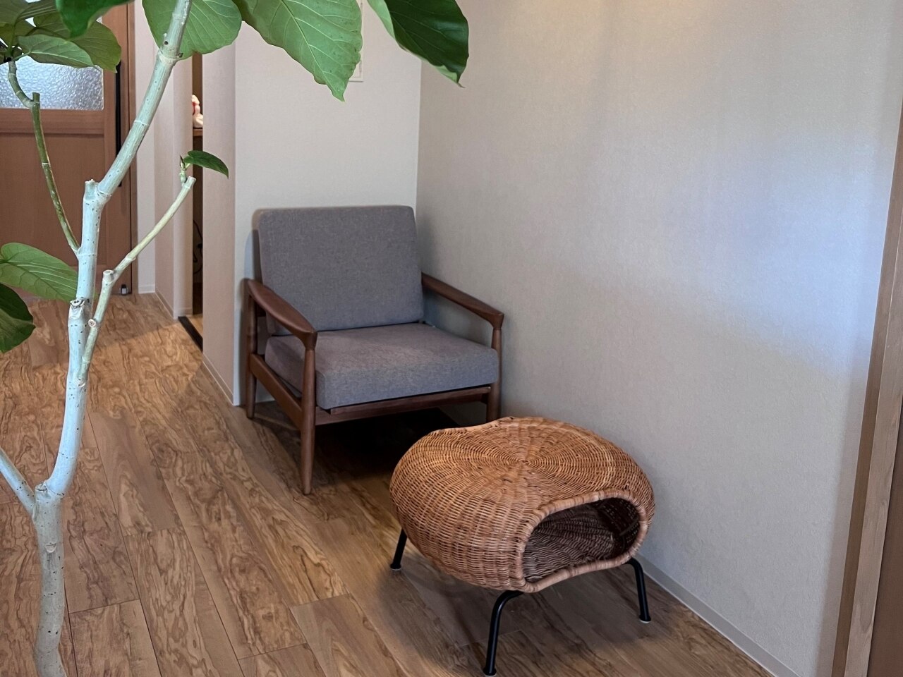 ヒュー(hue)の紹介画像