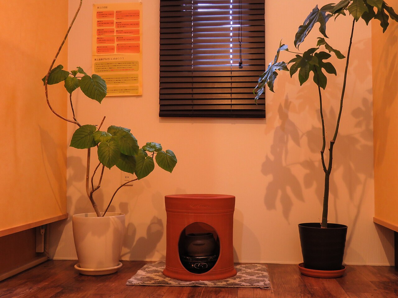 トータルボディーパートナー 我(WAGA)の紹介画像