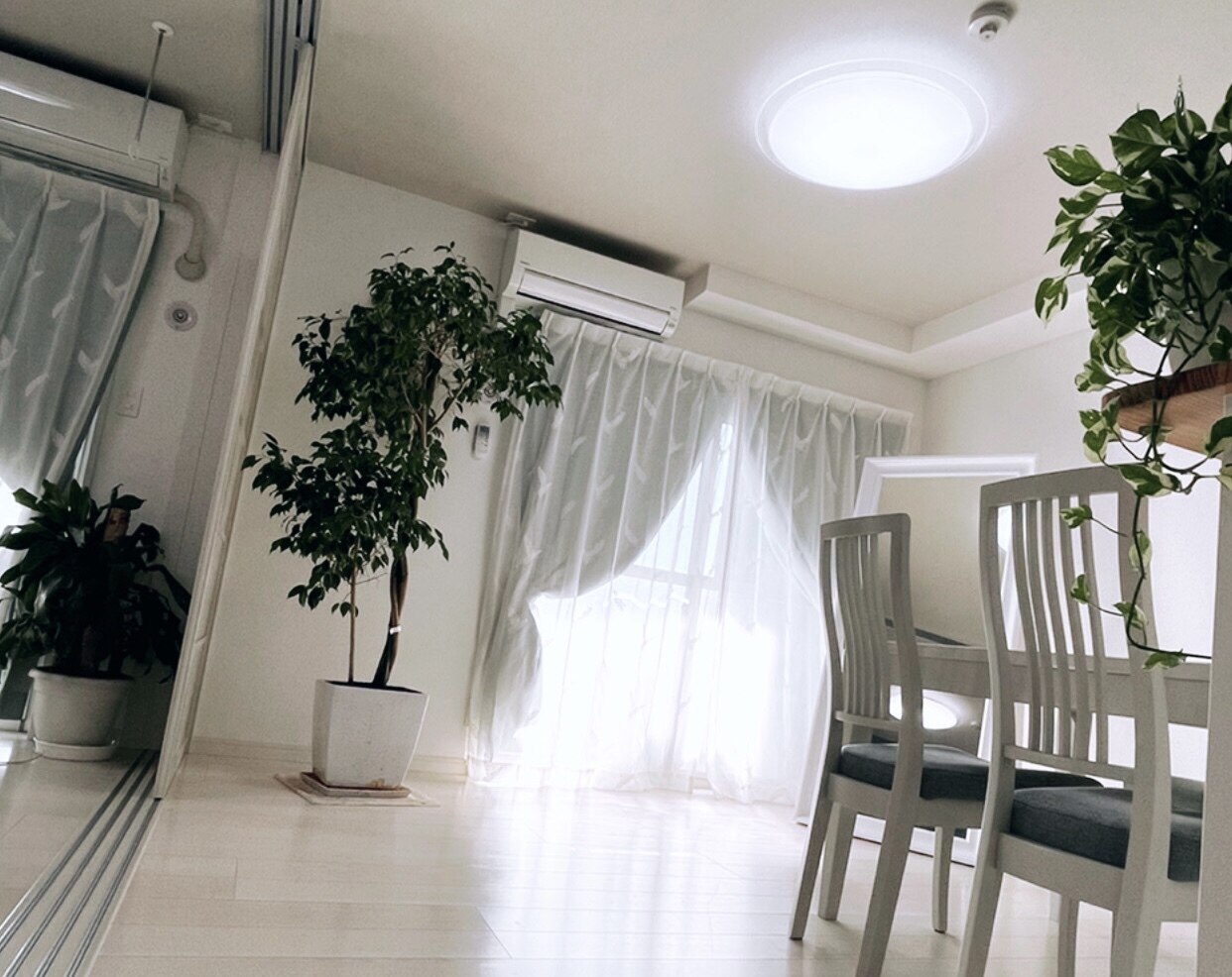 メンズ脱毛サロン Mr.Smooth 【ミスタースムース】の紹介画像