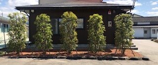 メンズ脱毛サロン Mr.Smooth 【ミスタースムース】の紹介画像