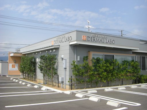 ダーマルラボ 本店の紹介画像