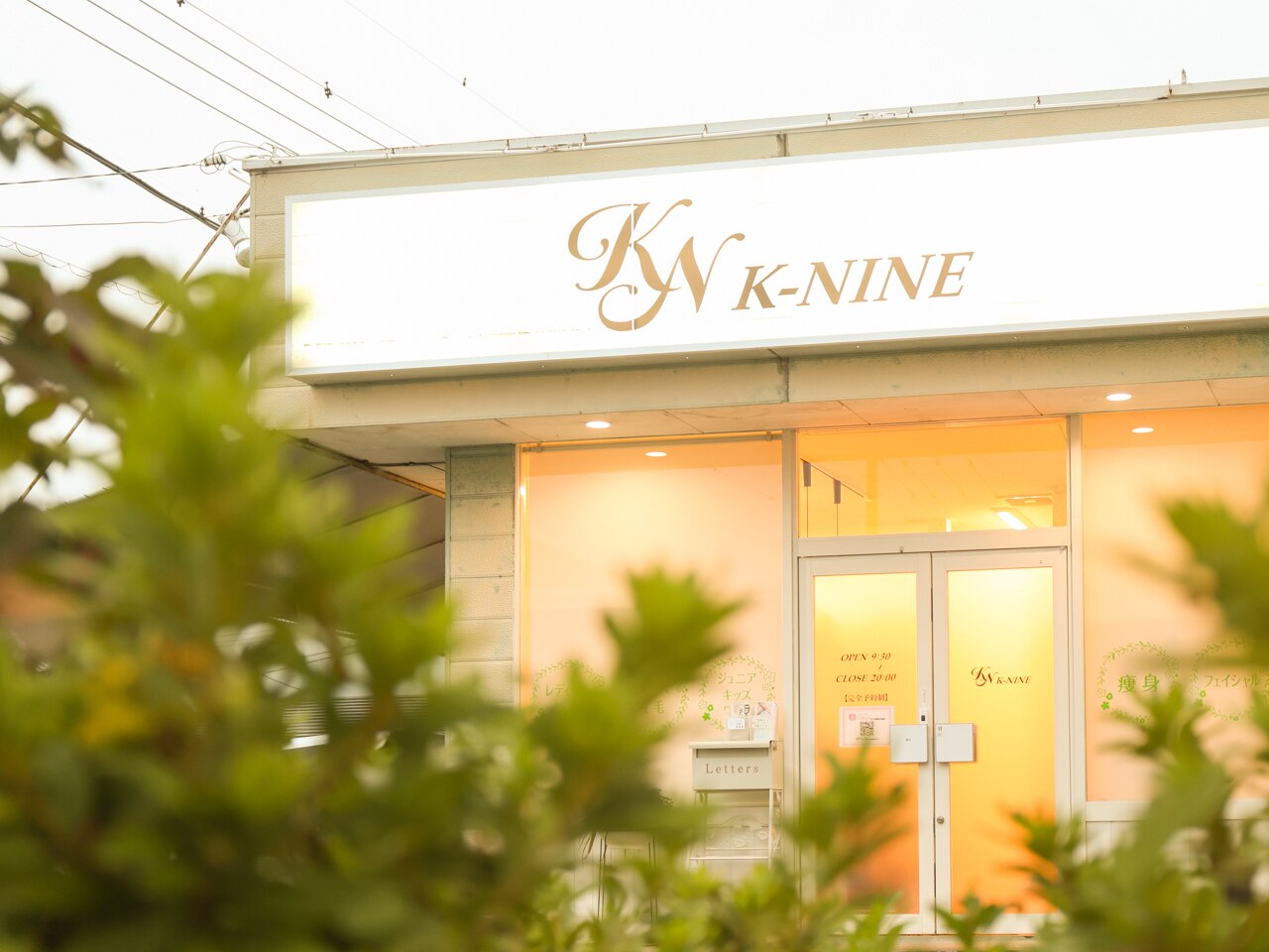 ケイナイン(K-NINE)の紹介画像