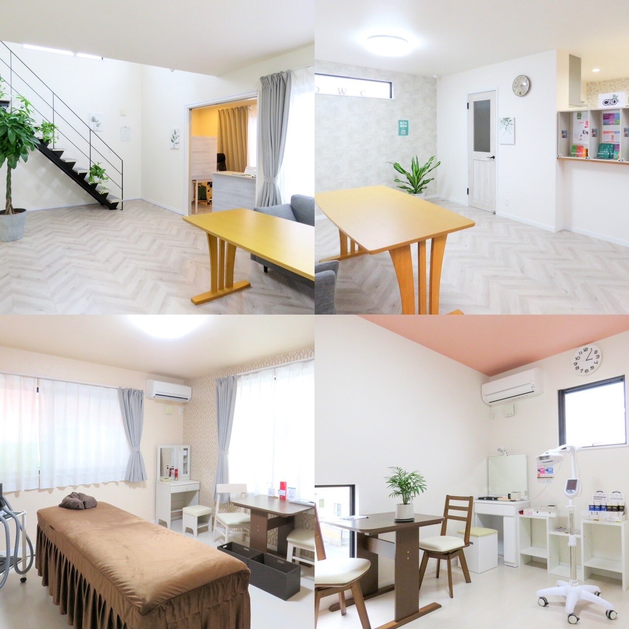 ディーダブルシー(D.W.C)の紹介画像