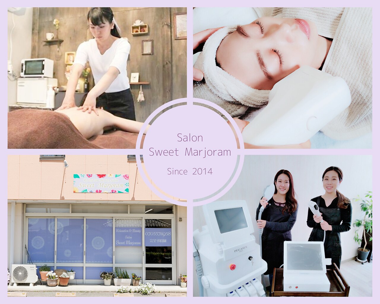 スウィートマジョラム(Sweet Marjoram)の紹介画像