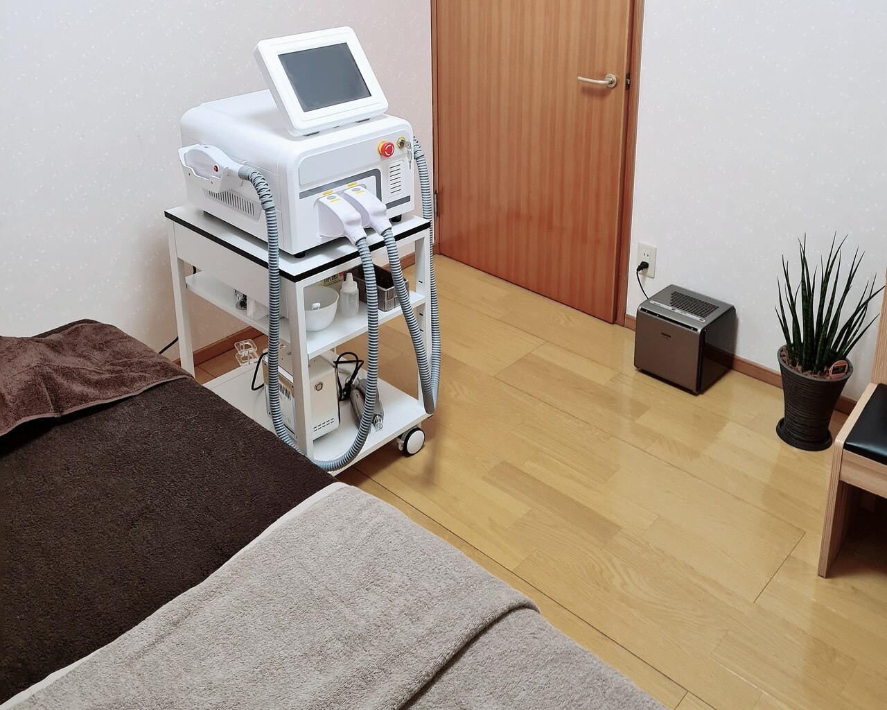 ラルブル(L'arbre)の紹介画像