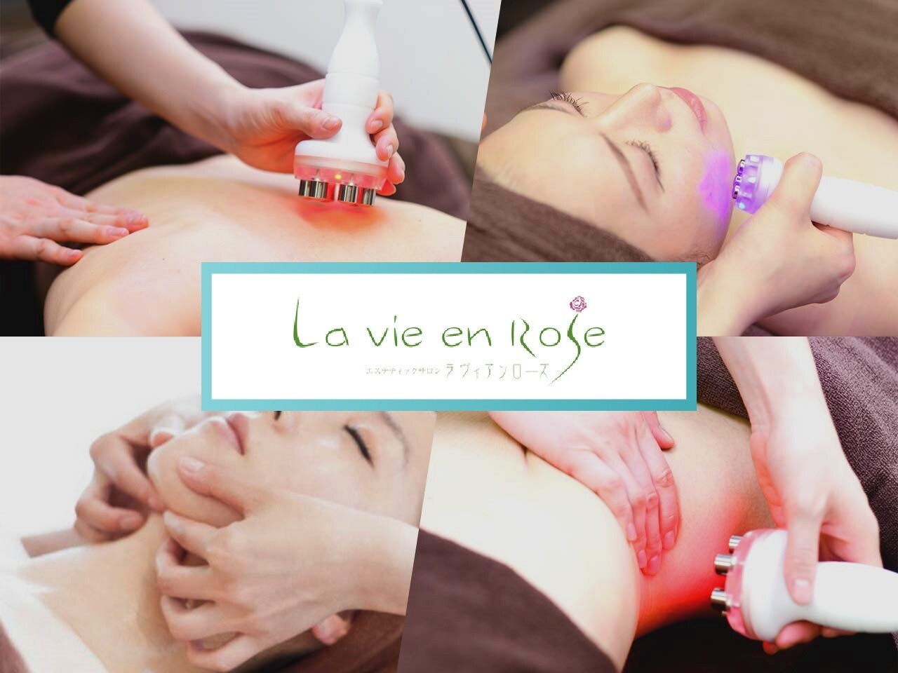 ラヴィアンローズの紹介画像