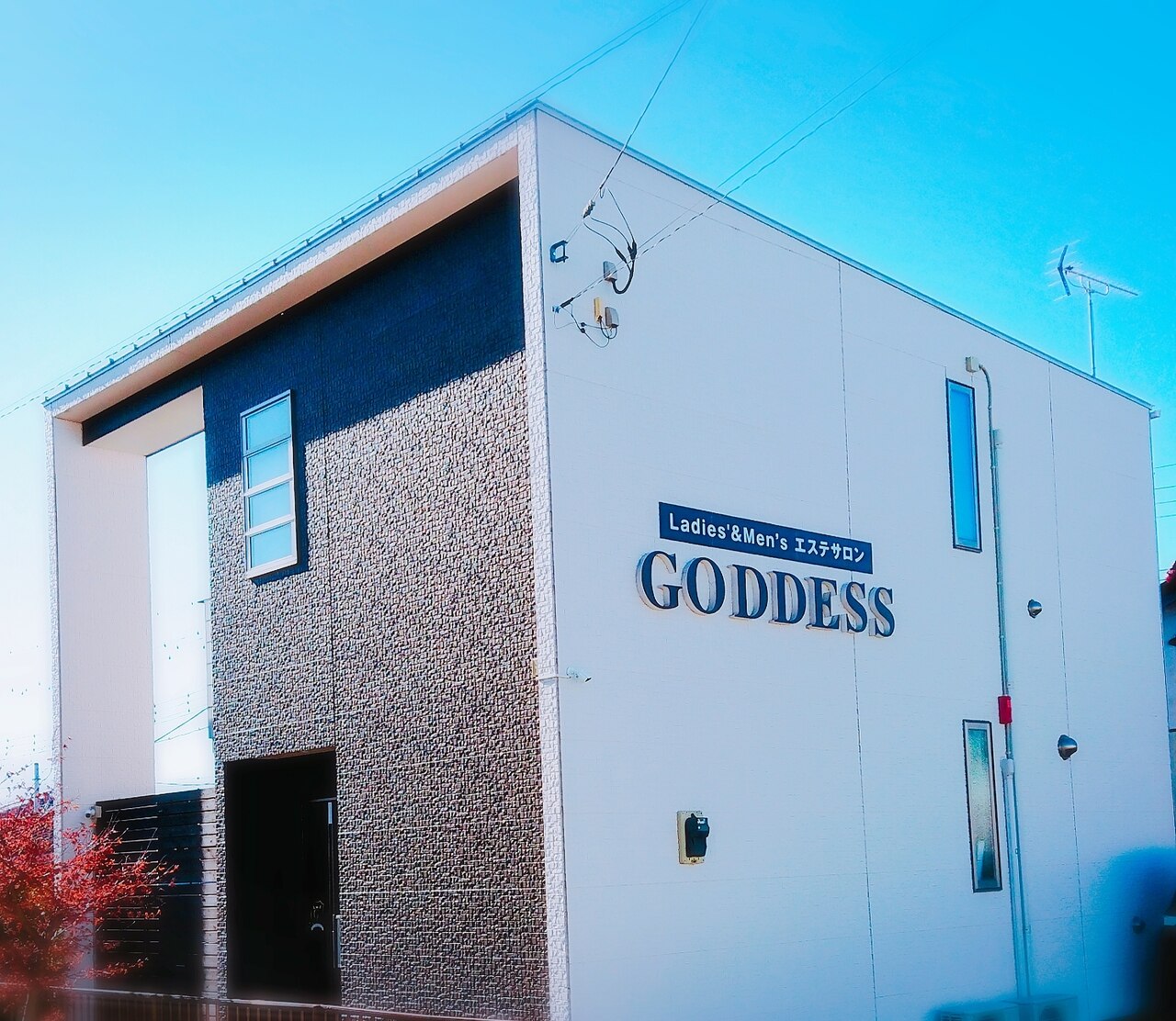 ガディス(GODDESS)の紹介画像