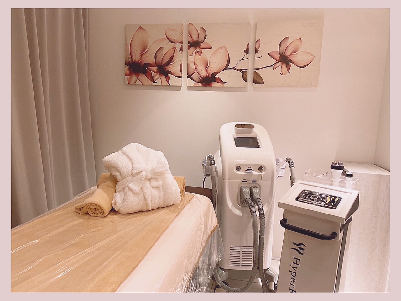 なでしこの紹介画像