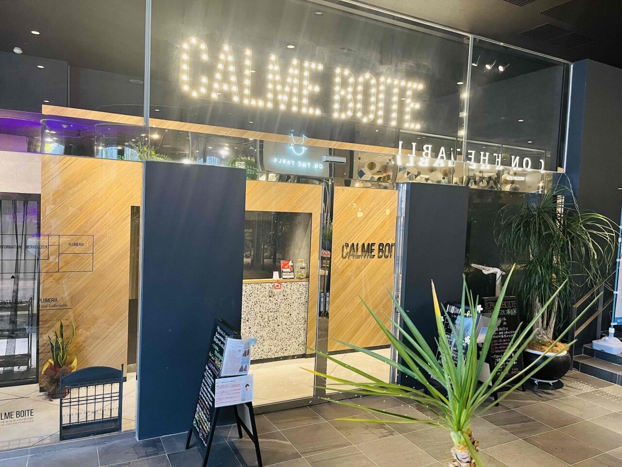 プルメリア(Plumeria)の紹介画像