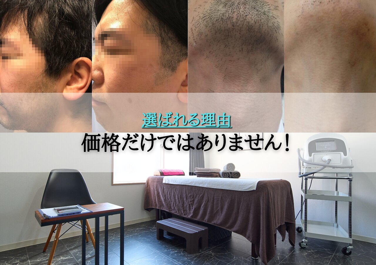 ジュゴン(Dugong)の紹介画像