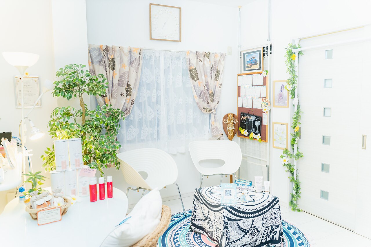 プルメリスタ(PLUMERISTA)の紹介画像