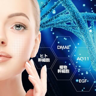 キレハダ 牧の原モア店の紹介画像