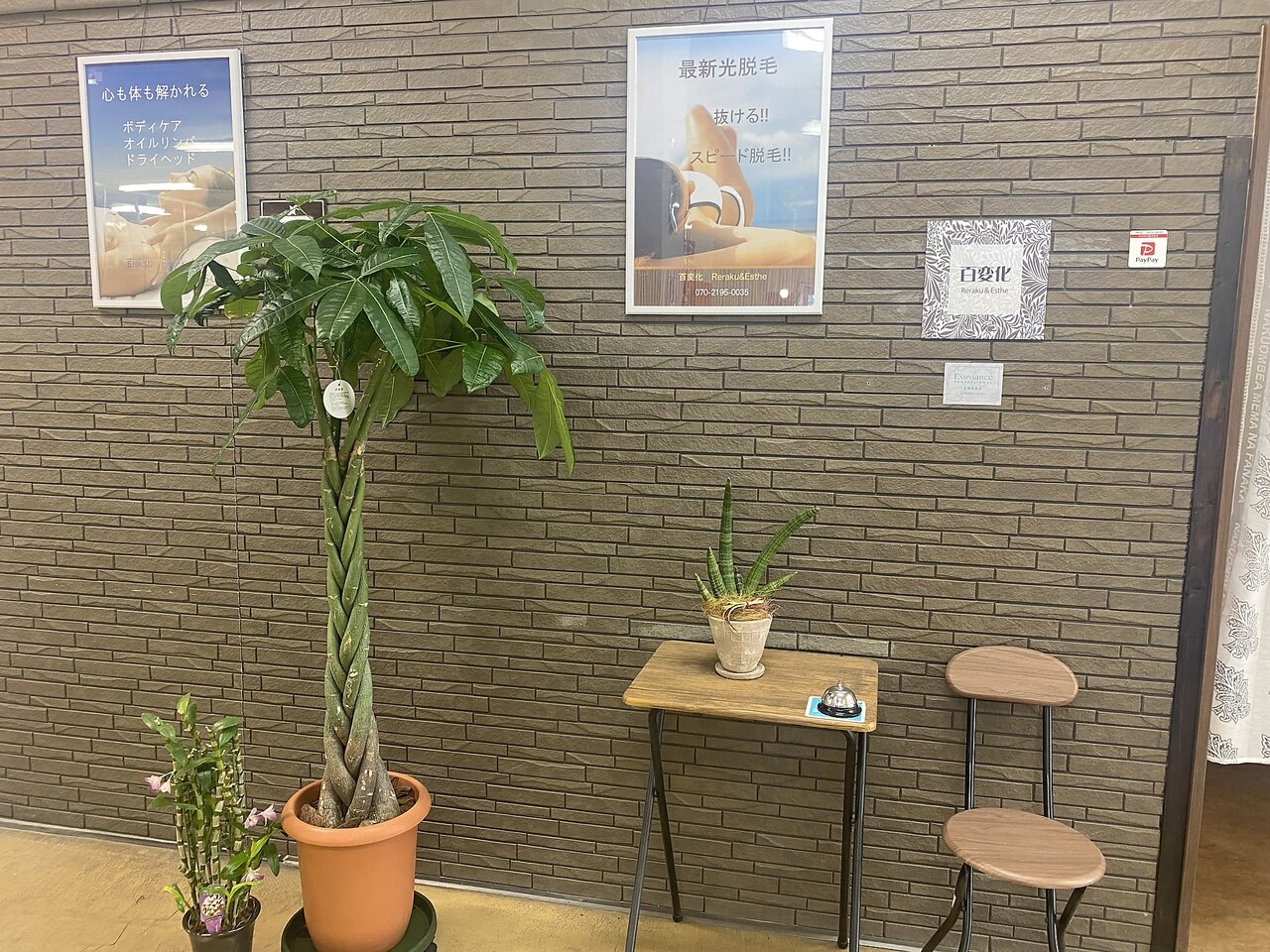 百変化の紹介画像