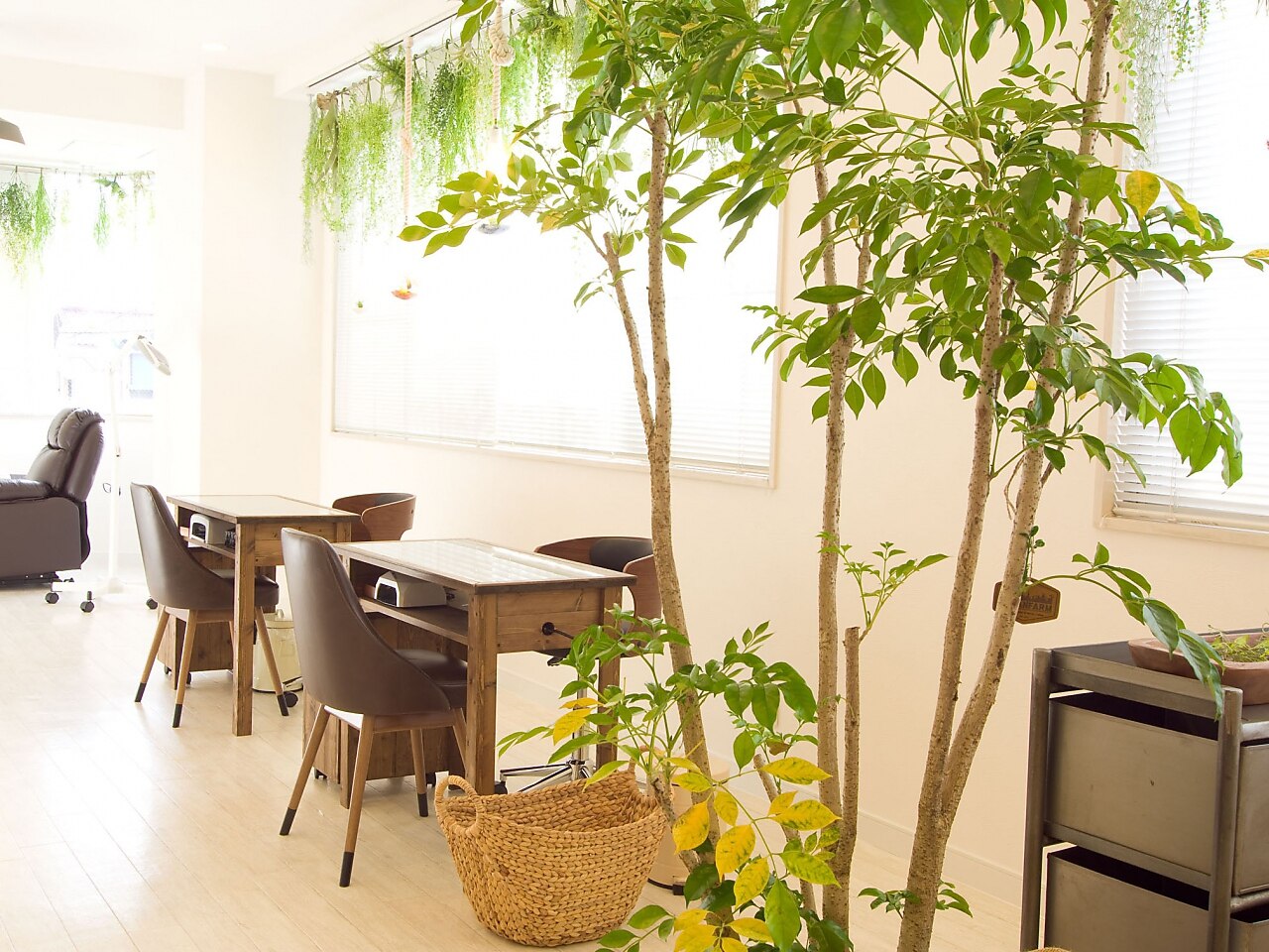 メンズ脱毛サロン Mr.Smooth 【ミスタースムース】の紹介画像